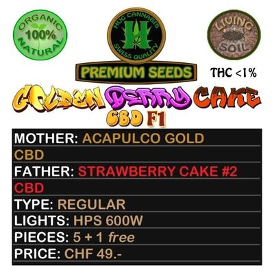 Golden Berry Cake CBD F1 Regular
