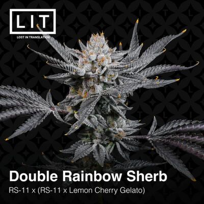 Double Rainbow Sherb