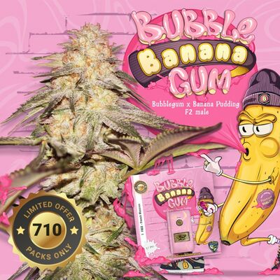 BubbleBananaGum 710 Special Pack