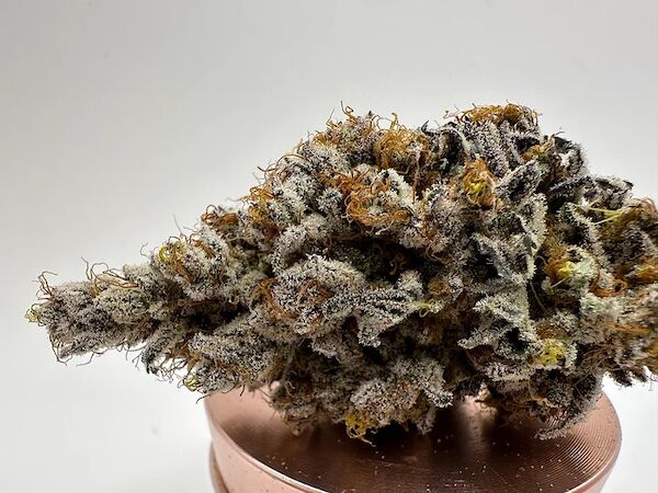 Dragon Cherry Moon Regular cannabis seeds by Dragons Flame Genetics for indoor and outdoor – image 2