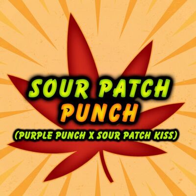 Sour Batch Punch