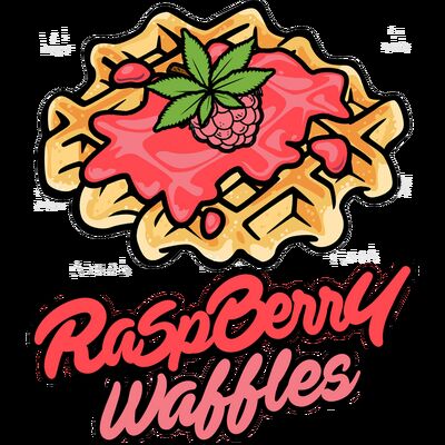 Raspberry Waffles CBD