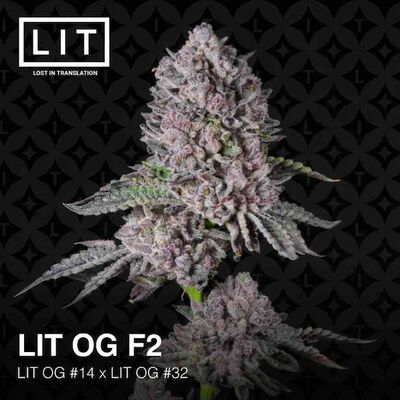 LIT OG F2