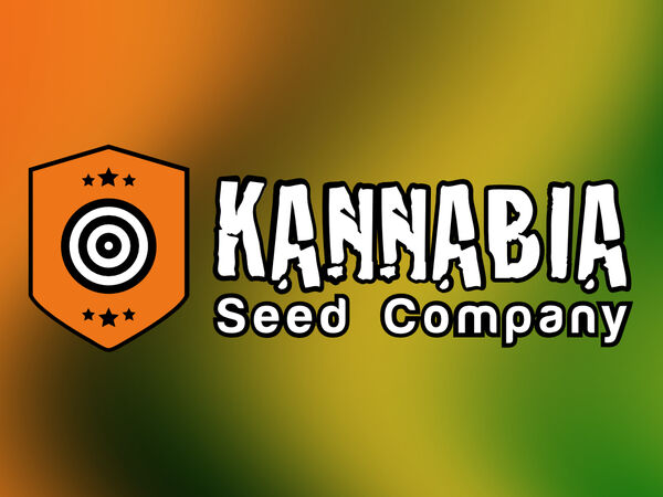 Kannabia Seeds – Innovative Spanish cannabis seeds with quality