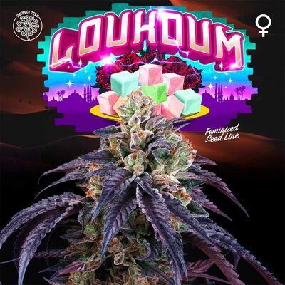 Loukoum
