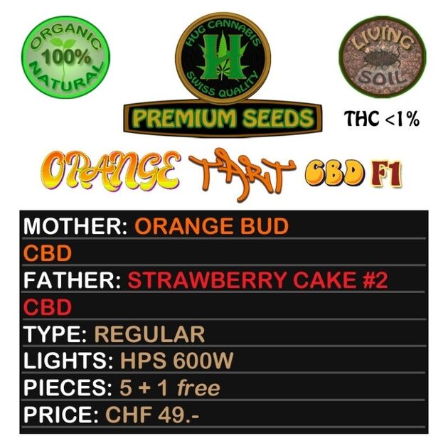 Orange Tart CBD F1 Regular cannabis seeds by Hug Cannabis CBD Seeds for indoor and outdoor – image 2