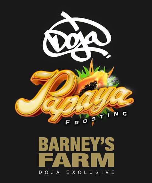 Papaya Frosting feminised cannabis seeds for indoor and outdoor