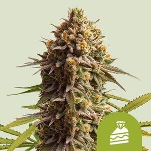 Auto Wedding Cake