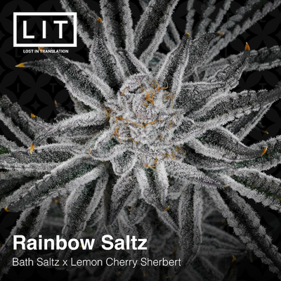 Rainbow Saltz