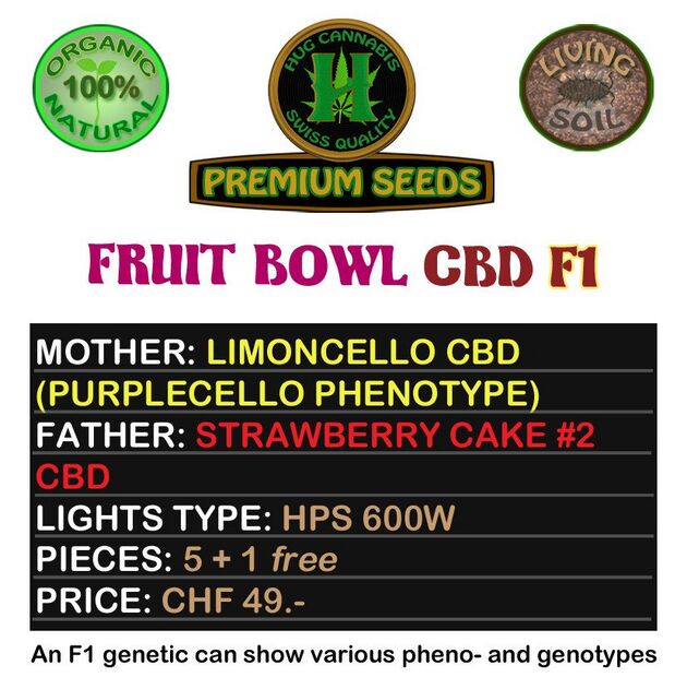Cannabissamen Fruit Bowl CBD F1 Regulär von Hug Cannabis CBD Seeds für Indoor und Outdoor – Bild 2