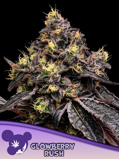 Glowberry Rush