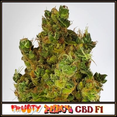 Fruity Punch CBD F1 Regular