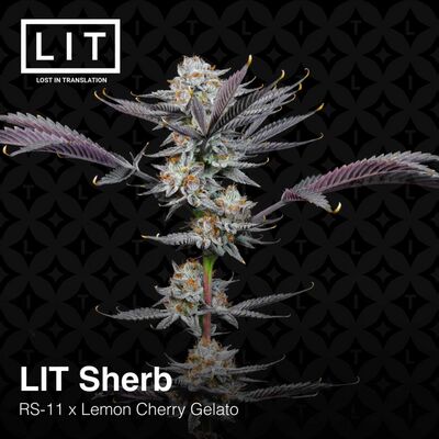 LIT Sherb