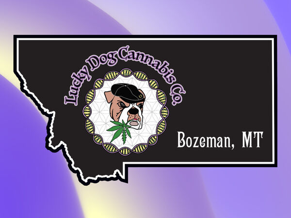 Lucky Dog Seed Co – Legendäre US-Strains mit Chemdog-Genetik