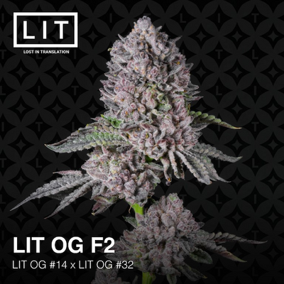 LIT OG
