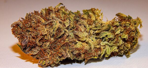 Graines de cannabis Missy's Stash V2 Régulier de Dragons Flame Genetics pour intérieur et extérieur – image 3