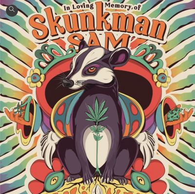 Import Afghani x Skunk #1 Regulär