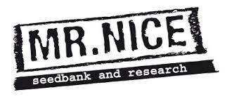 Critical Widow Regular