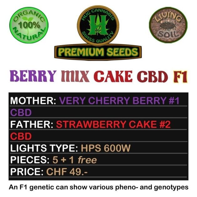 Cannabissamen Berry Mix Cake CBD F1 Regulär von Hug Cannabis CBD Seeds für Indoor und Outdoor – Bild 2