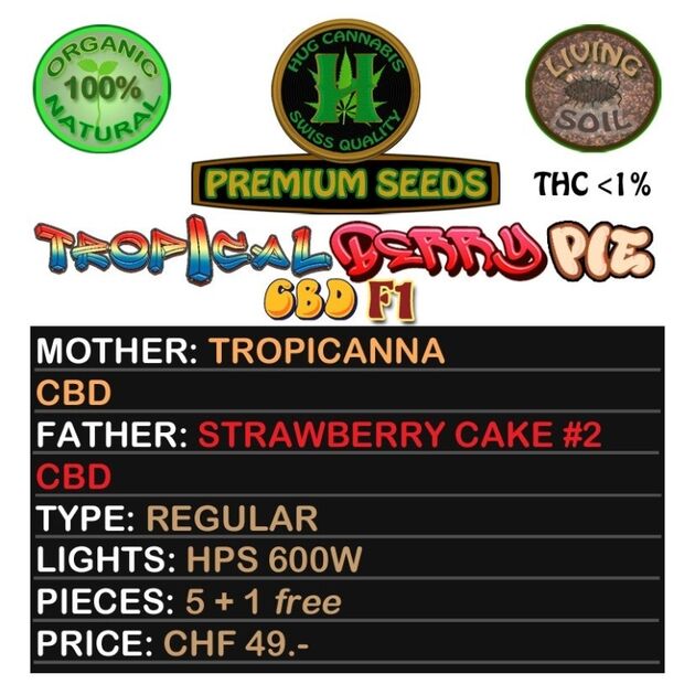 Cannabissamen Tropical Berry Pie CBD F1 Regulär von Hug Cannabis CBD Seeds für Indoor und Outdoor – Bild 2