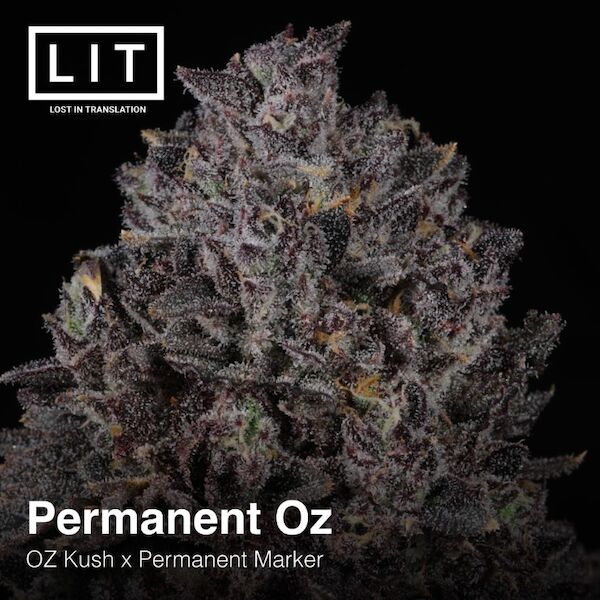 Permanent Oz feminised cannabis seeds by LIT Farms – image 2
