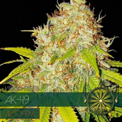 Auto AK-49