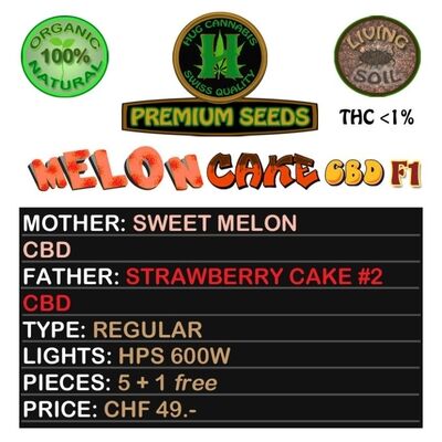 Melon Cake CBD F1 Regular
