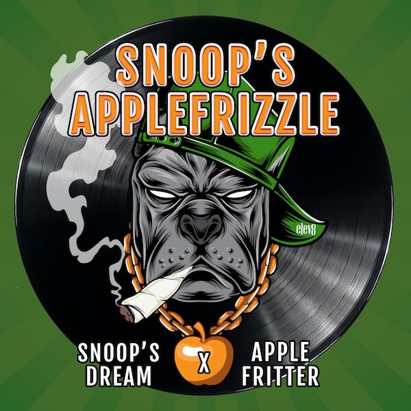Graines de cannabis Snoop’s Applefrizzle féminisées de Elev8 Seeds pour intérieur et extérieur – image 2