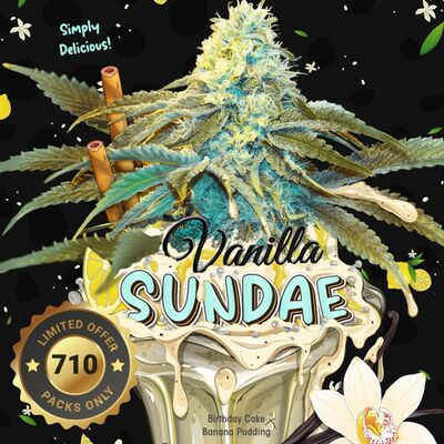 Vanilla Sundae 710 Special Pack