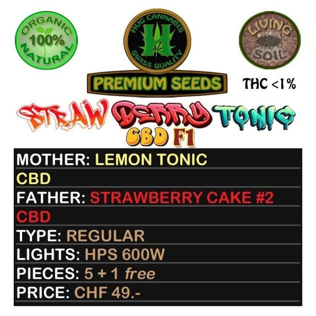 Cannabissamen Strawberry Tonic CBD F1 Regulär von Hug Cannabis CBD Seeds für Indoor und Outdoor – Bild 2