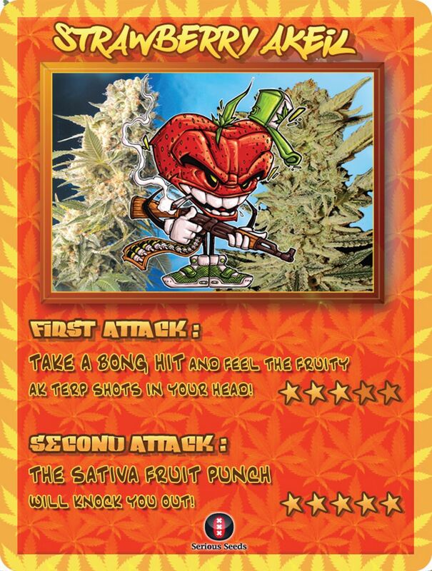 Graines de cannabis Strawberry AKeil féminisées de Serious Seeds pour intérieur et extérieur – image 2
