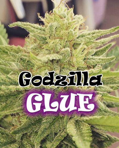 Godzilla Glue