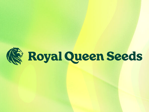 Royal Queen Seeds – Eine der bekanntesten europäischen Seedbanks