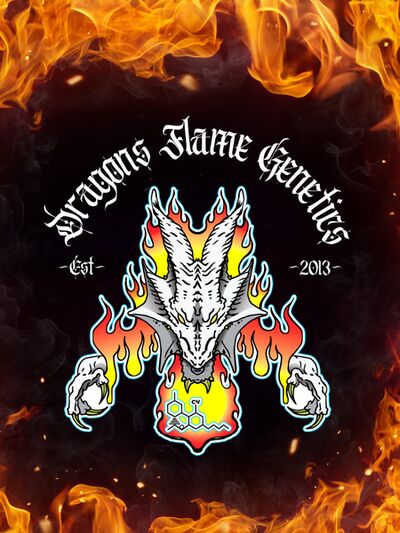 91 Proof Moonshine Regular