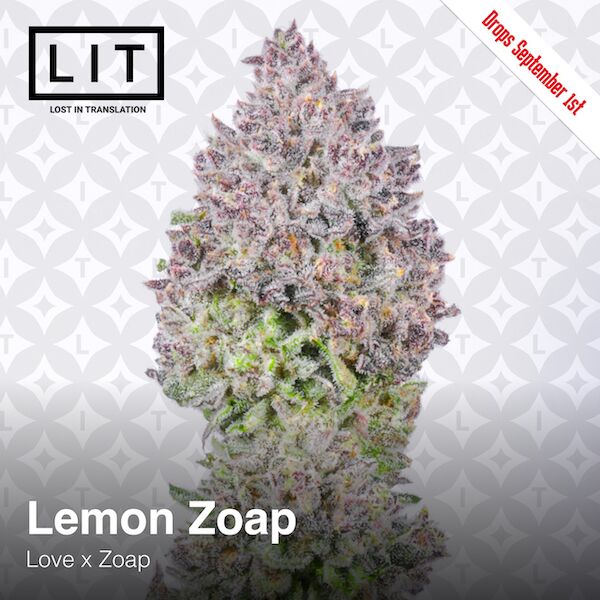Lemon Zoap feminised cannabis seeds for indoor and outdoor cultivation – image 3