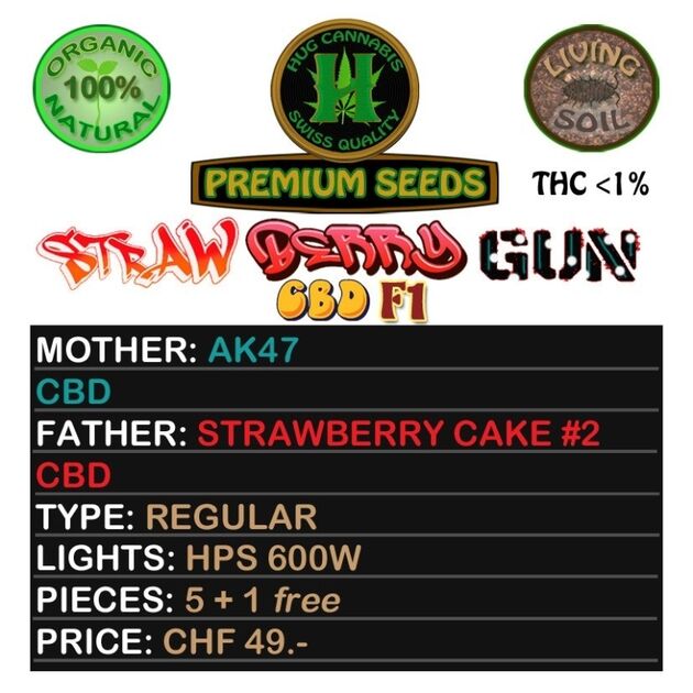Strawberry Gun CBD F1 Regular cannabis seeds by Hug Cannabis CBD Seeds for indoor and outdoor – image 2