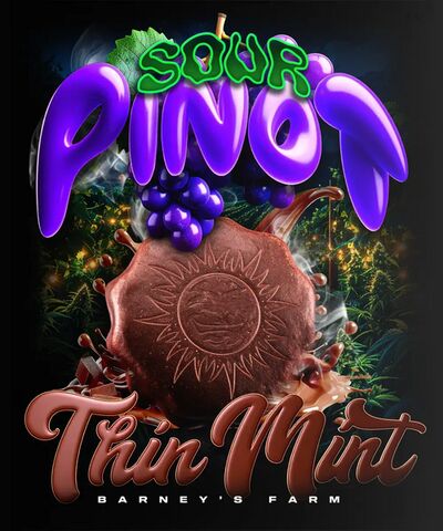 Auto Thin Mint x Sour Pinot