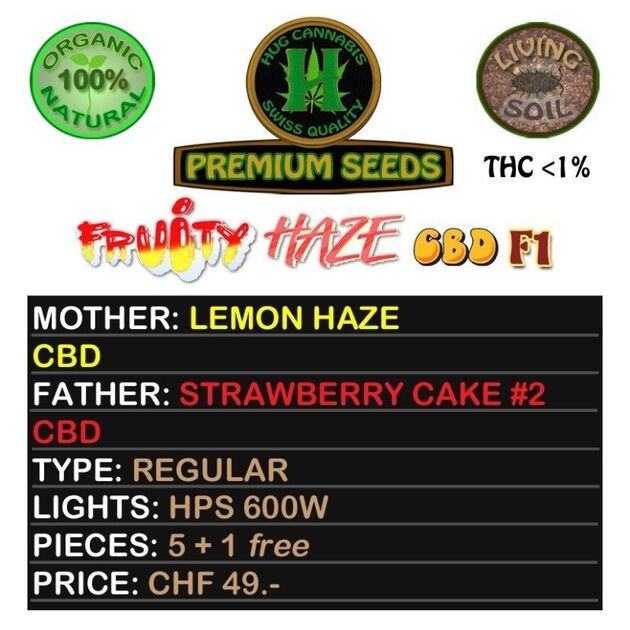Fruity Haze CBD F1 Regular cannabis seeds by Hug Cannabis CBD Seeds for indoor and outdoor – image 2