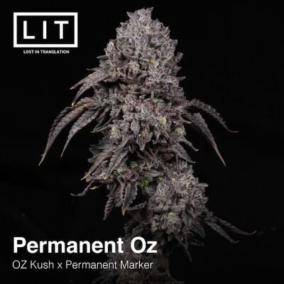 Permanent Oz