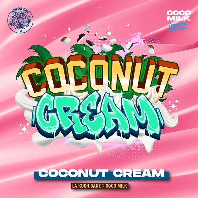 Cannabissamen Coconut Cream feminisiert von Perfect Tree Seeds für Indoor und Outdoor – Bild 4