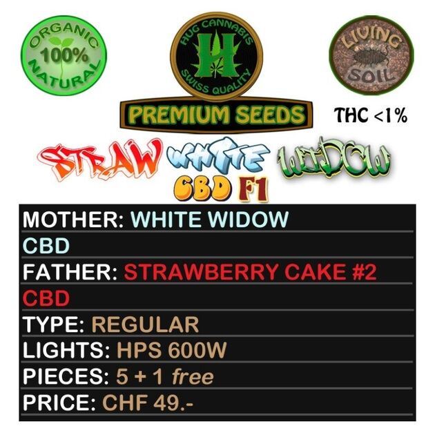 Straw White Widow CBD F1 Regular cannabis seeds by Hug Cannabis CBD Seeds for indoor and outdoor – image 2