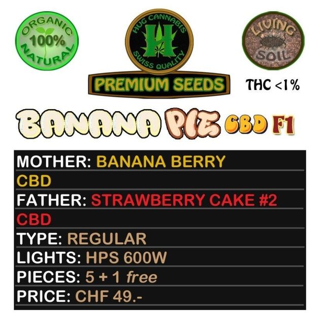 Banana Pie CBD F1 Regular cannabis seeds by Hug Cannabis CBD Seeds for indoor and outdoor – image 2