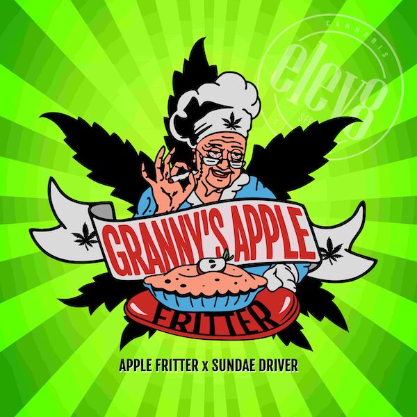 Graines de cannabis Granny's Apple Fritter féminisées de Elev8 Seeds pour intérieur et extérieur – image 2