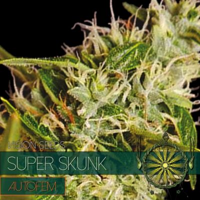 Auto Super Skunk