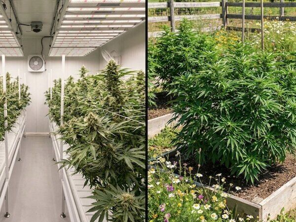 Indoor vs. Outdoor im Vergleich