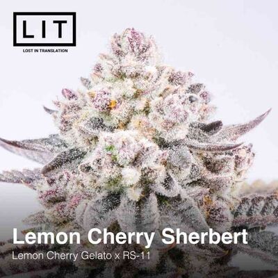 Lemon Cherry Sherbert