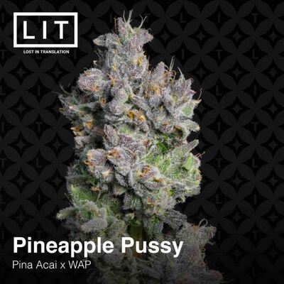 Pineapple Pussy