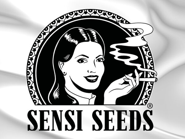 Sensi Seeds – Eine der legendärsten Seedbanks weltweit