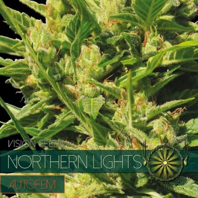 Auto Northern Lights
